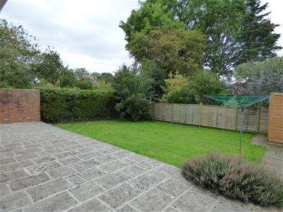 Picture 13